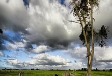 包含葡超倒计时，布鲁克林篮网今晨迎来里程碑，细节引发关注，球迷炸锅，轮换策略成焦点的词条