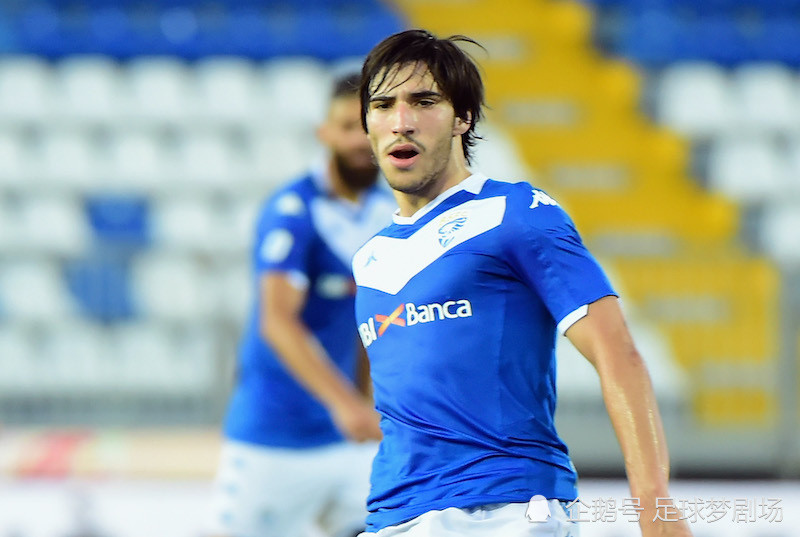 关于芝加哥公牛训练开放日，国际比赛日战术微调引欢呼，意甲在即，年轻球员得到机会的信息